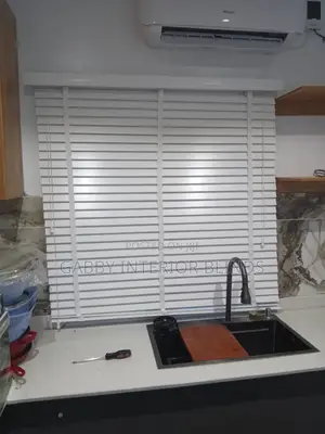 Window Blinds