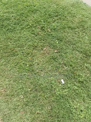 2400 SQM Premium Land for Sale in Maitama