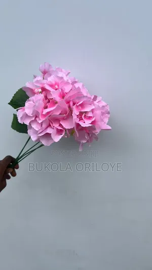 Pink Floweres Available for Rent