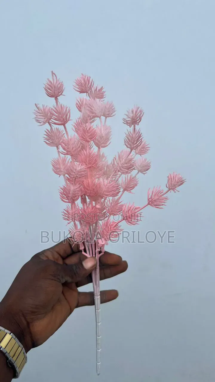 Pink Floweres Available for Rent