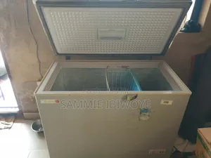 Scanfrost Inverter Freezer 300l, Ice Maker