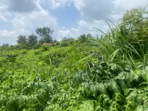 Affordable Land for Sale