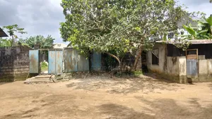For Sale : Fenced 1 1⁄2 Plots at Deeper Life St, Mgbeoba, Ph