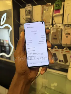 Samsung Galaxy S10 128 GB Blue