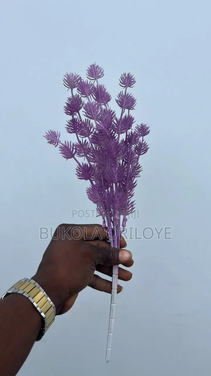 Purple Flowers Rentals Service