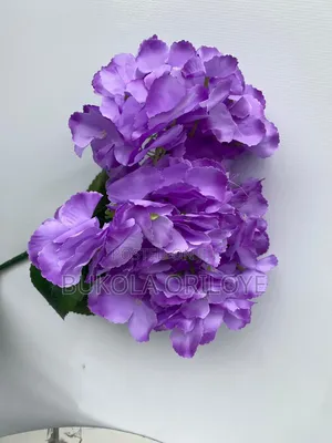 Purple Flowers Rentals Service
