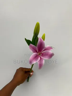 Purple Flowers Rentals Service