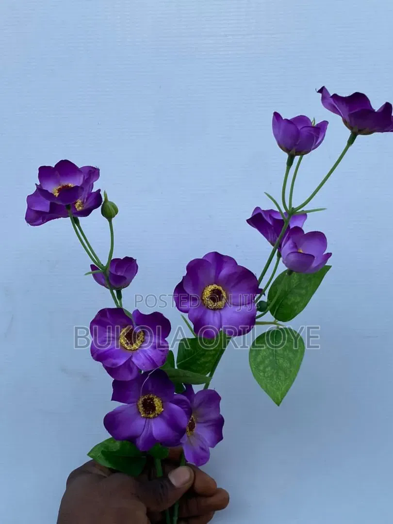 Purple Flowers Rentals Service