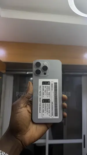 Apple iPhone 15 Pro Max 256 GB Gray