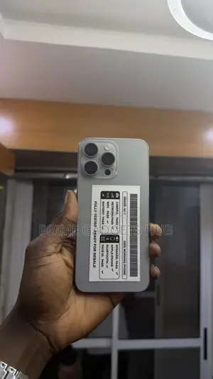 Apple iPhone 15 Pro Max 256 GB Gray