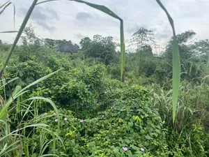 Cof O Land for Sale in Awka - Afrihomes Ebeano Estate