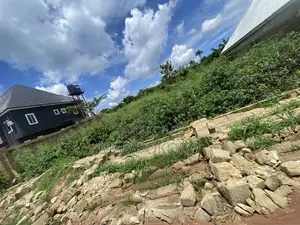 1 Plot of Land