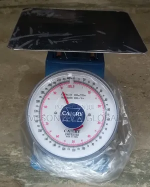 50kg Analog Camry Weighing Scale