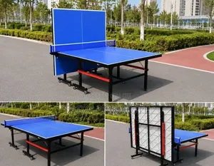 Professional Outdoor Tennis Table