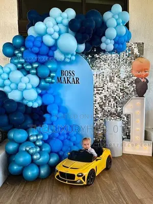 Balloon Decoration Single Backdrop
