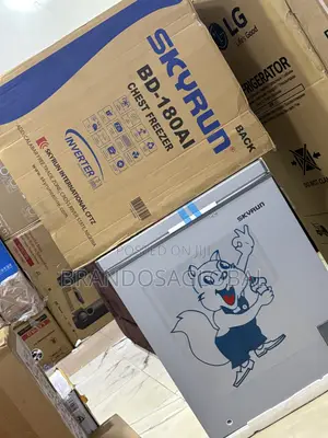 Skyrun BD-180 Frozen Food Freezer