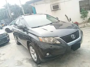Lexus RX 2011 Gray