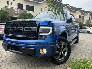 Ford F-150 FX4 2013 Blue