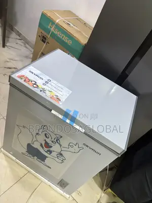 Skyrun BD-180 Household Freezer