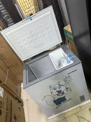 Skyrun BD-180 Household Freezer