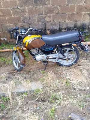 TVS HLX Plus ES 2024 Black