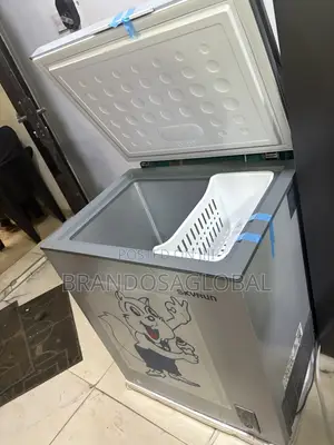 Skyrun BD-180 Grocery Freezer