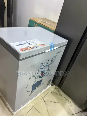 Skyrun BD-180 180L Frozen Food Chest