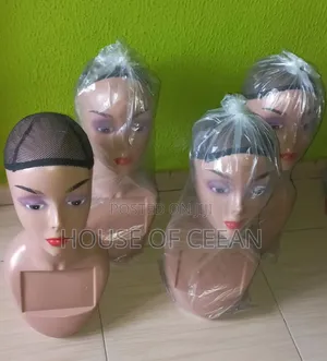 Mannequin Head