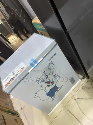 Skyrun BD-180 Food Storage Freezer