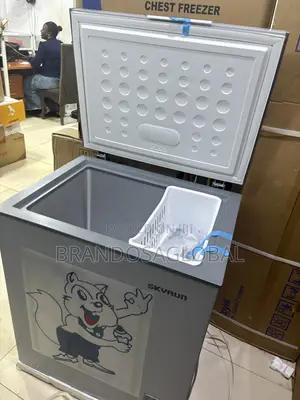 Skyrun BD-180 180L Food Storage Freezer
