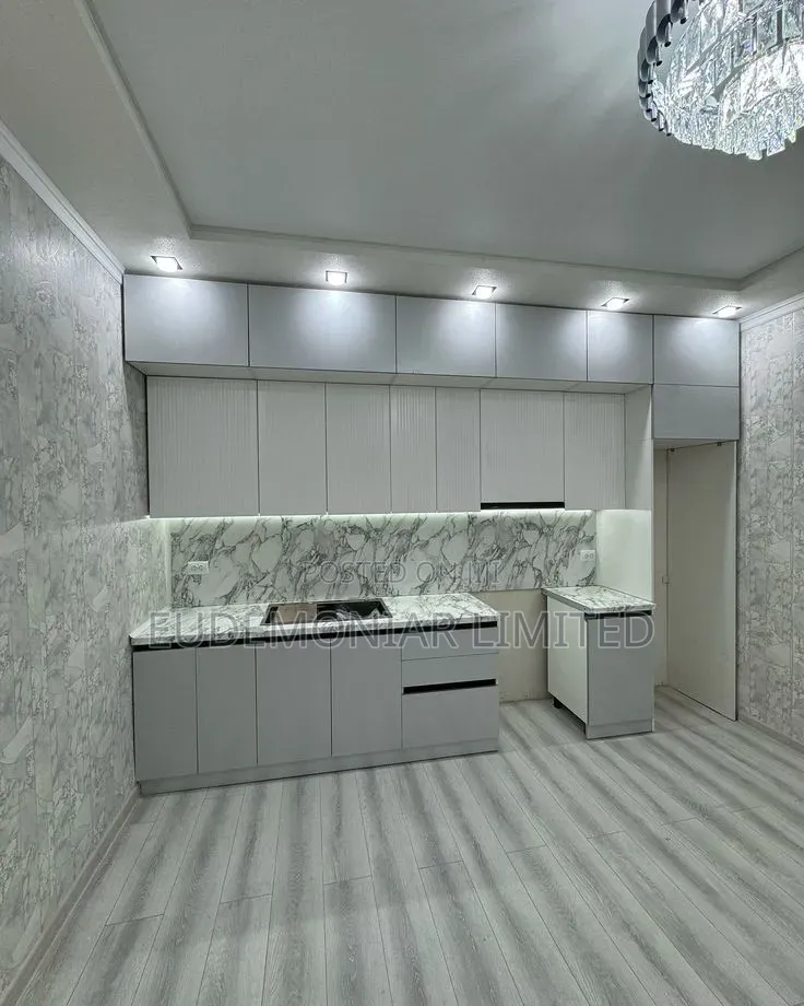 Professional Kitchen Interior Makeover