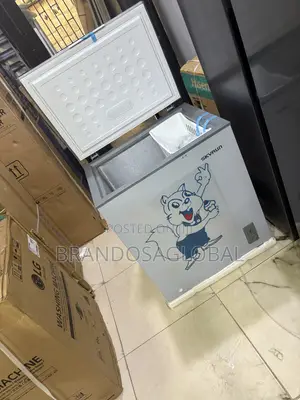 Skyrun BD-180 Freezer for Home