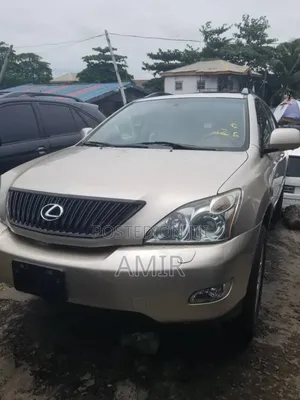 Lexus RX 350 4x4 2009 Gray