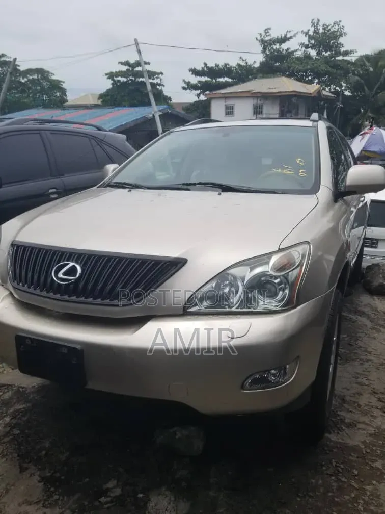 Lexus RX 350 4x4 2009 Gray
