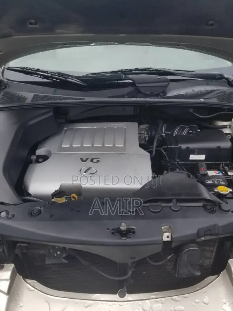 Lexus RX 350 4x4 2009 Gray