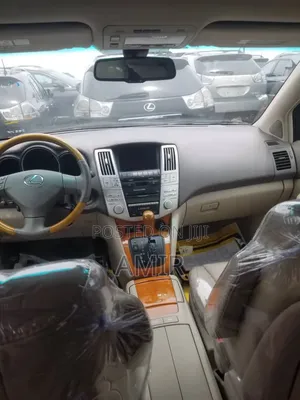 Lexus RX 350 4x4 2009 Gray
