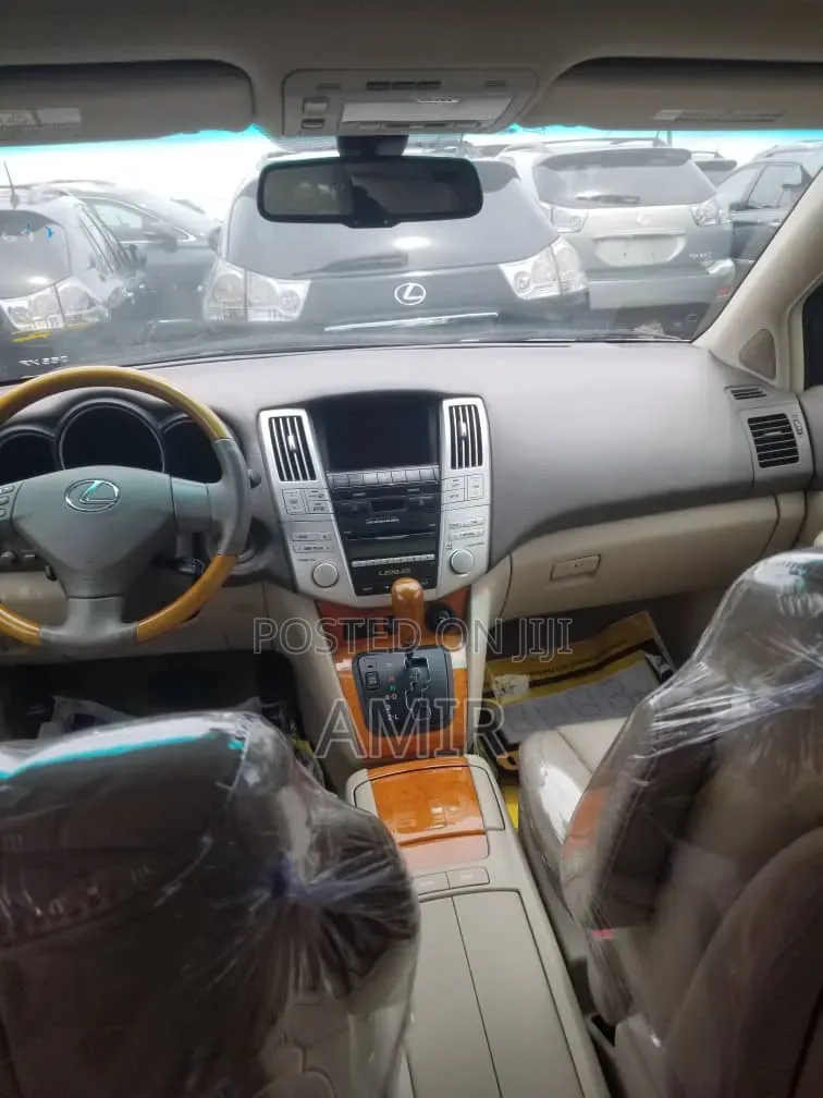 Lexus RX 350 4x4 2009 Gray