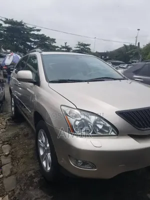 Lexus RX 350 4x4 2009 Gray