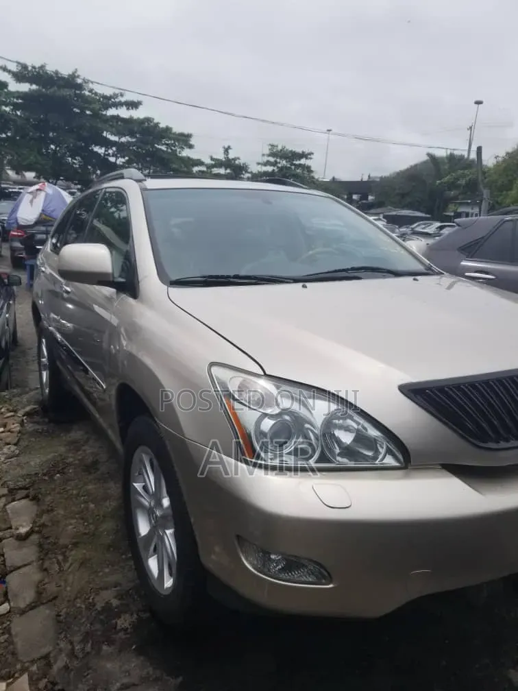 Lexus RX 350 4x4 2009 Gray