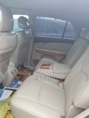 Lexus RX 350 4x4 2009 Gray