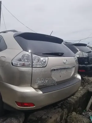 Lexus RX 350 4x4 2009 Gray
