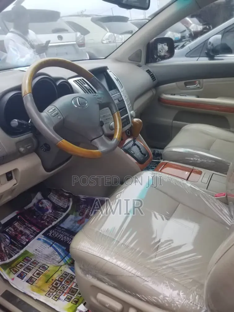 Lexus RX 350 4x4 2009 Gray