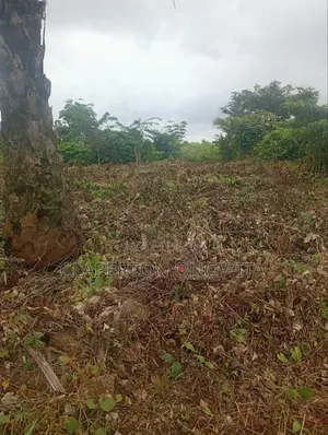 Good Quality Land 100 X 100