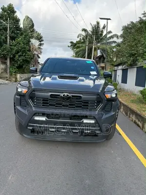 Toyota Tacoma 2026 Gray