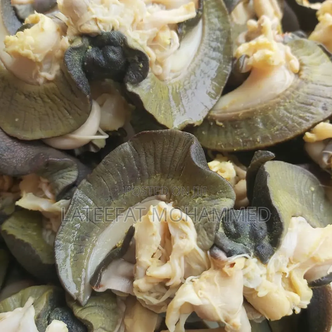 Jumbo Sizes of Snails