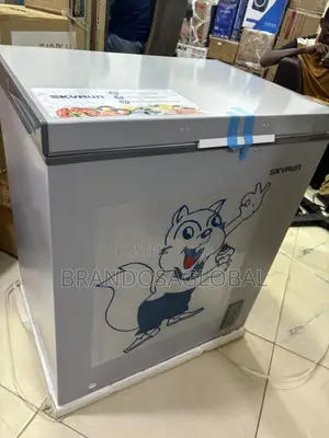 Skyrun BD-180 Frozen Goods Freezer