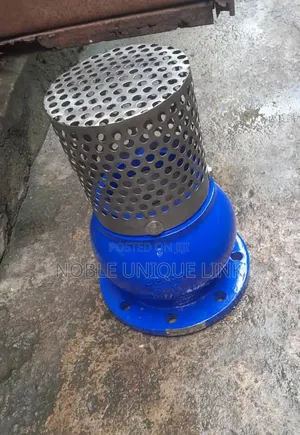 5" Inches Flange Iron Foot Valve