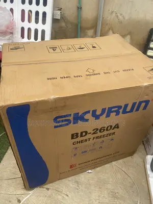 BD-260A Skyrun 260L Deep Freezer