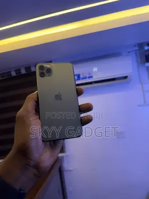 Apple iPhone 11 Pro Max 64 GB Gray