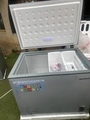 Skyrun BD-260A Chest Freezing Unit 260L